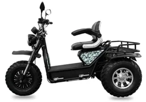 Daymak Boomer Beast mobility scooter side view showing three-wheel design and rear cargo rack