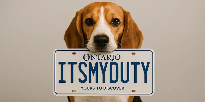 Ontario Court: All Drivers Have a Duty to Avoid Accidents